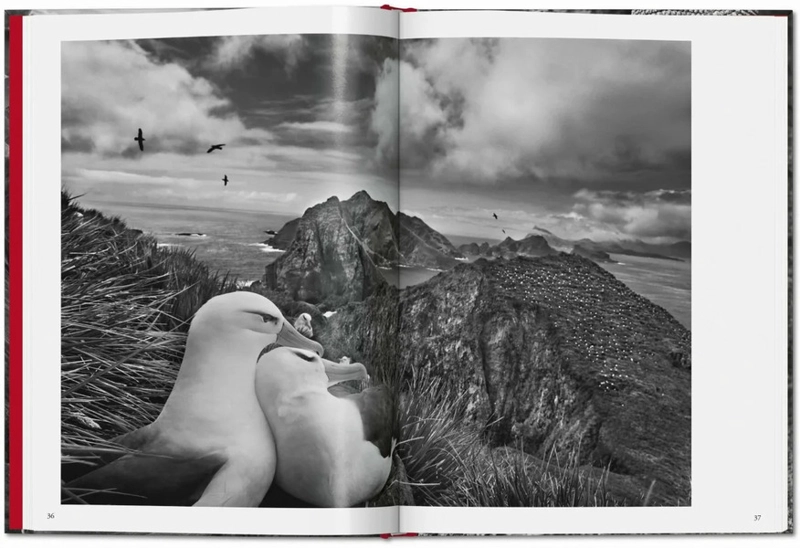 LIBRO GENESIS. SEBASTIAO SALGADO - LÉLIA WANICK SALGADO - 4