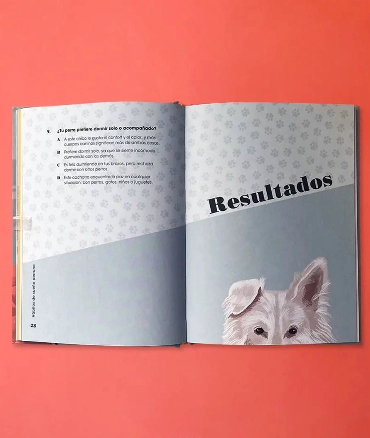 LIBRO PERSONALIDADES PERRUNAS - ALISON DAVIES - 8