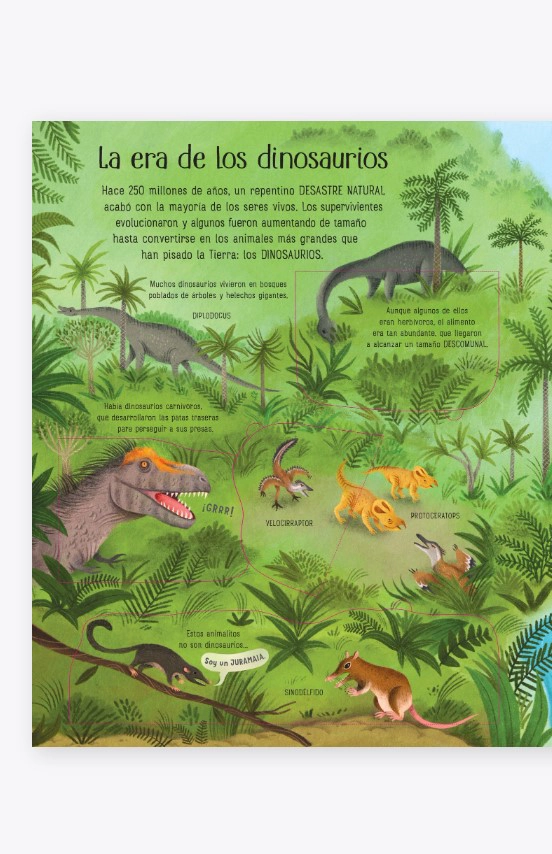CONOCE POR DENTRO - LA EVOLUCION - 3