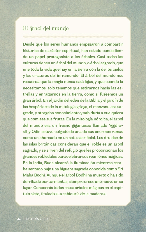 LIBRO BRUJERIA VERDE - VANDERBECK PAIGE - 5