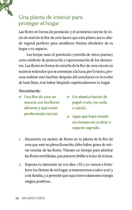 LIBRO BRUJERIA VERDE - VANDERBECK PAIGE - 6