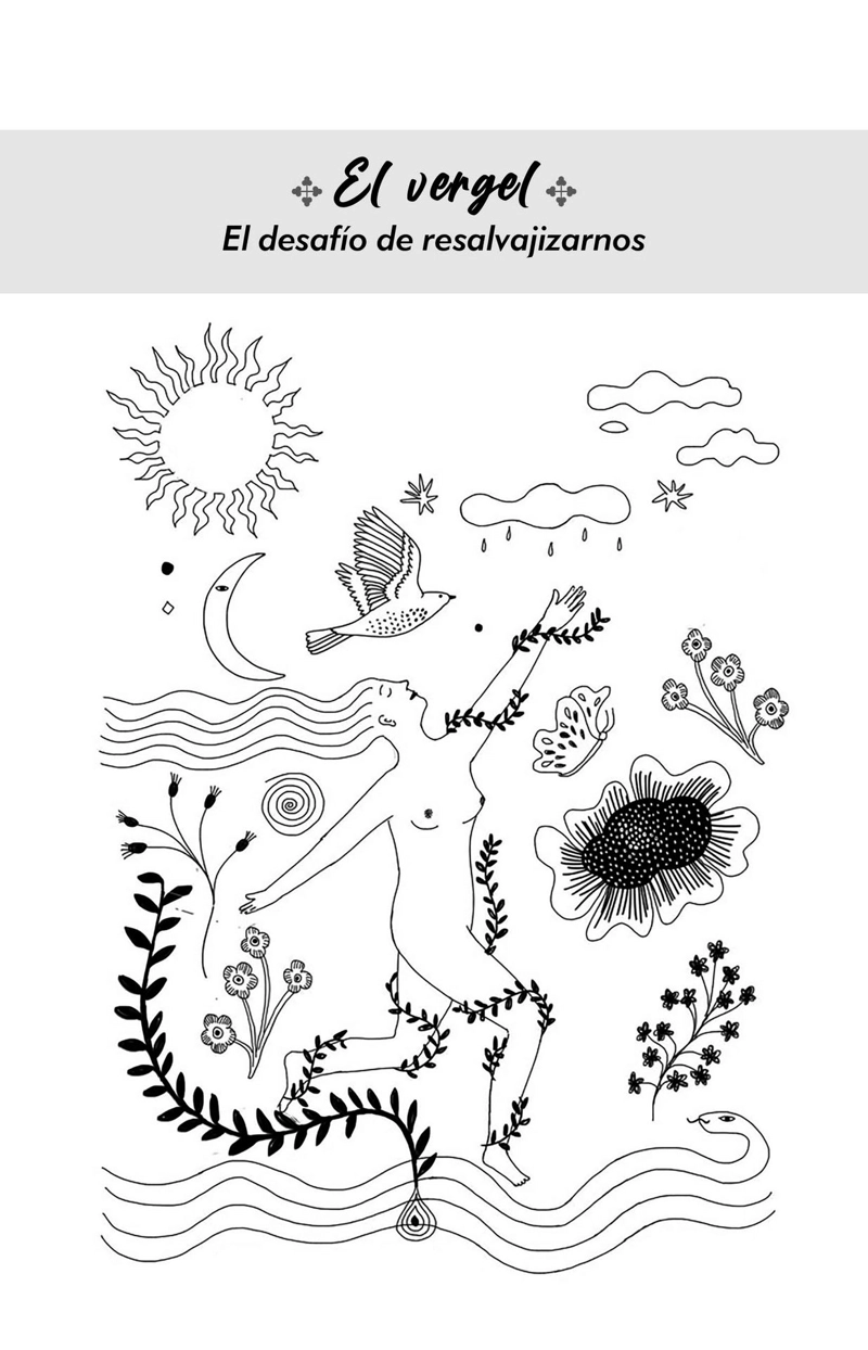 LIBRO DONDE VIVE EL ASOMBRO - FABIANA FONDEVILA - 5