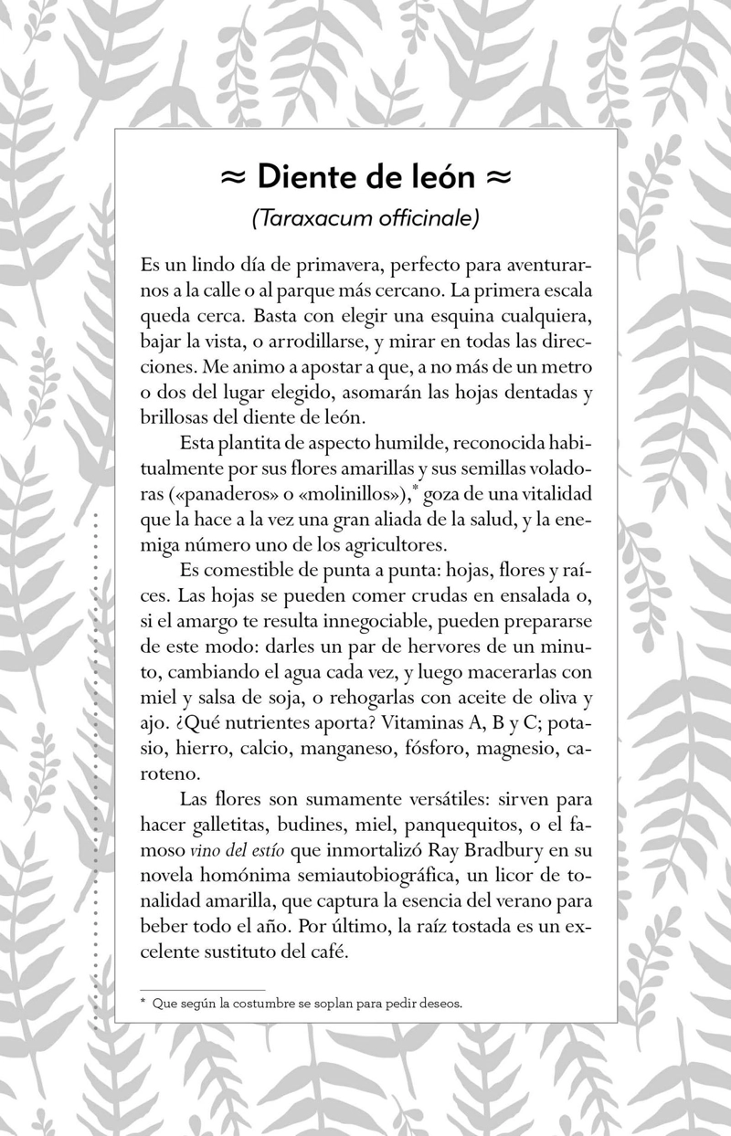 LIBRO DONDE VIVE EL ASOMBRO - FABIANA FONDEVILA - 6