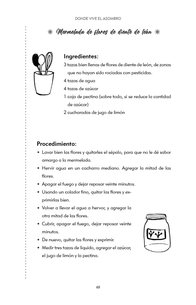 LIBRO DONDE VIVE EL ASOMBRO - FABIANA FONDEVILA - 7