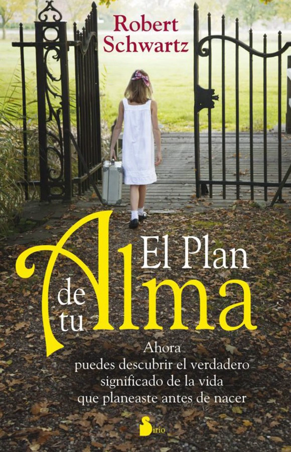 LIBRO EL PLAN DE TU ALMA - ROBERT SCHWARTZ - 1