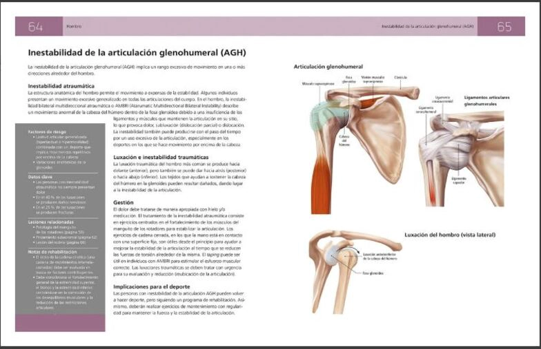 ANATOMIA DE LAS LESIONES DEPORTIVAS - 2
