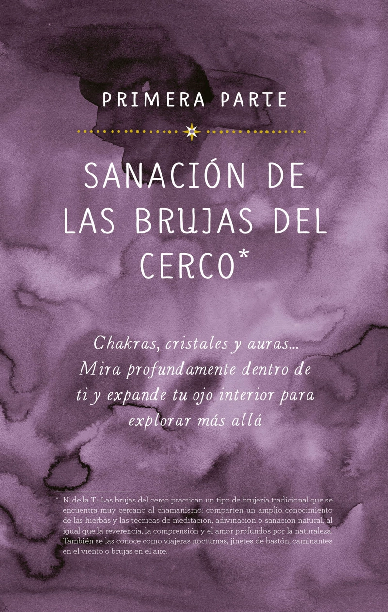LIBRO MAGIA PRACTICA - NIKKI VAN DE CAR - 5
