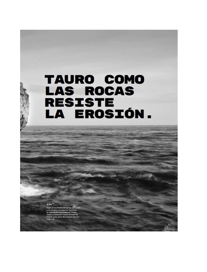 LIBRO ZODIACO - TAURO. 60 LEMAS DE TAURO EN DIFERENTES TIPOGRAFIAS - CARLA GARRAUS - 2