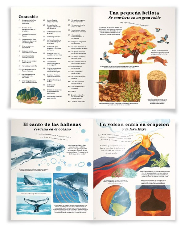 LIBRO DE BELLOTA A ROBLE - CARL WILKINSON - 2