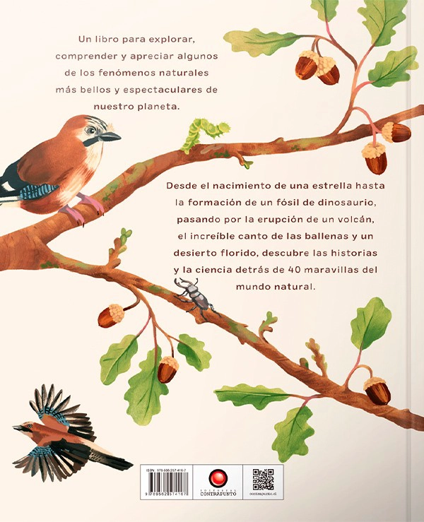 LIBRO DE BELLOTA A ROBLE - CARL WILKINSON - 3