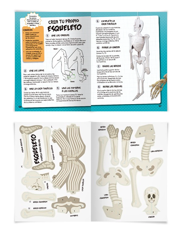 LIBRO EL INCREIBLE MUNDO DE… EL CUERPO HUMANO (+ MODELO 3D) - STEPHANIE STAHL - 3