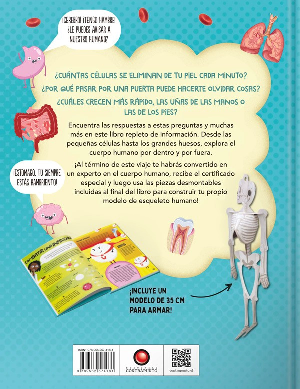 LIBRO EL INCREIBLE MUNDO DE… EL CUERPO HUMANO (+ MODELO 3D) - STEPHANIE STAHL - 7