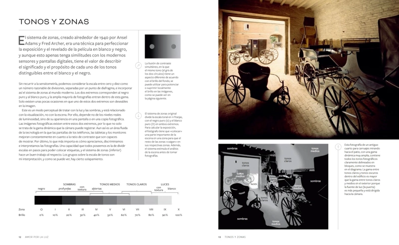 MICHAEL FREEMAN SOBRE LUZ Y SOMBRA - 4