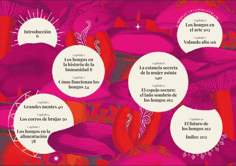 LIBRO MAGIA DE LOS HONGOS - SANDRA LAWRENCE - 2