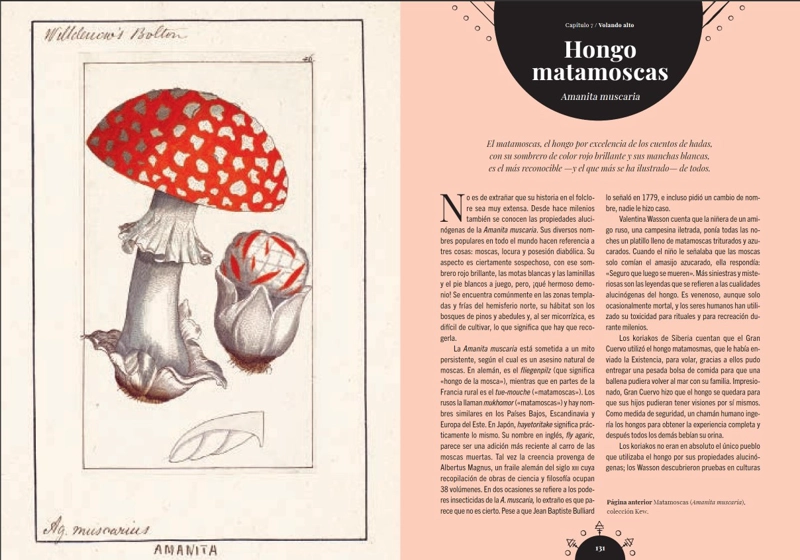 LIBRO MAGIA DE LOS HONGOS - SANDRA LAWRENCE - 4