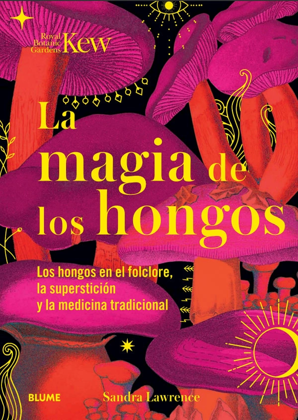 LIBRO MAGIA DE LOS HONGOS - SANDRA LAWRENCE - 6