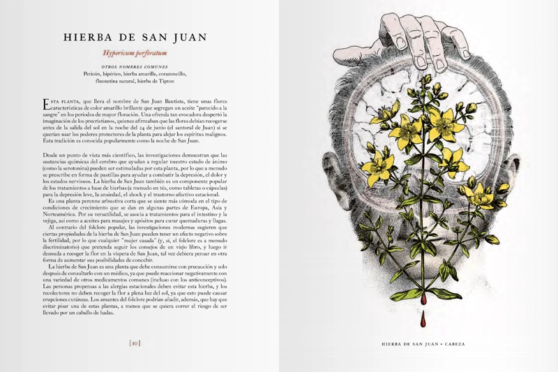 LIBRO EL JARDIN DE LAS PLANTAS MEDICINALES - ALICE SMITH - 2
