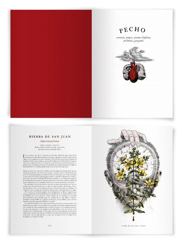 LIBRO EL JARDIN DE LAS PLANTAS MEDICINALES - ALICE SMITH - 7