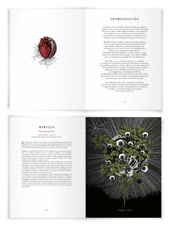 LIBRO EL JARDIN DE LAS PLANTAS MEDICINALES - ALICE SMITH - 8