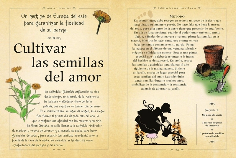 LIBRO EL DE LOS HECHIZOS - NICHOLAS BREEZE WOOD - 3