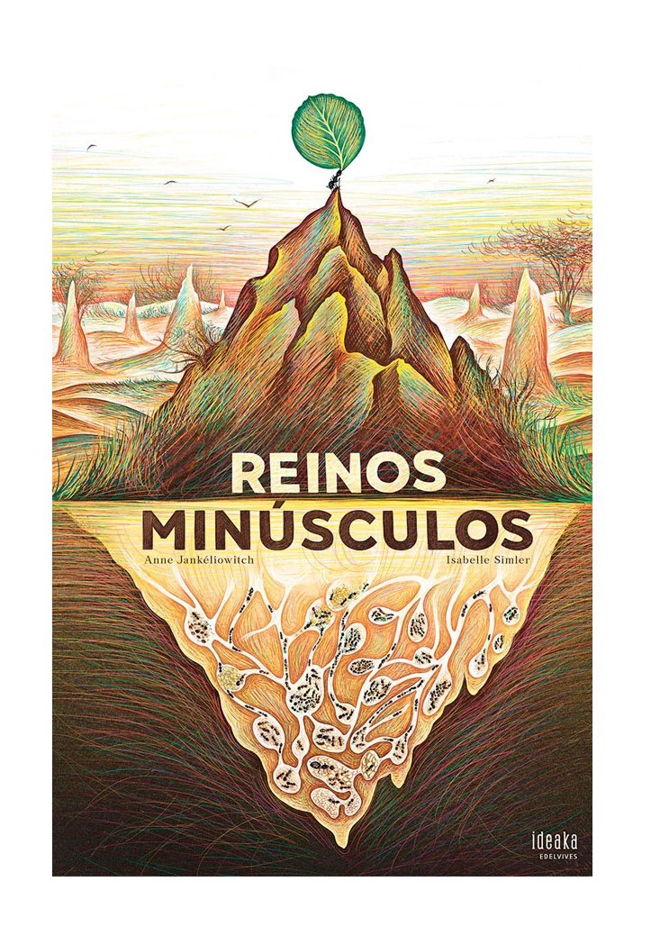 REINOS MINUSCULOS - 1