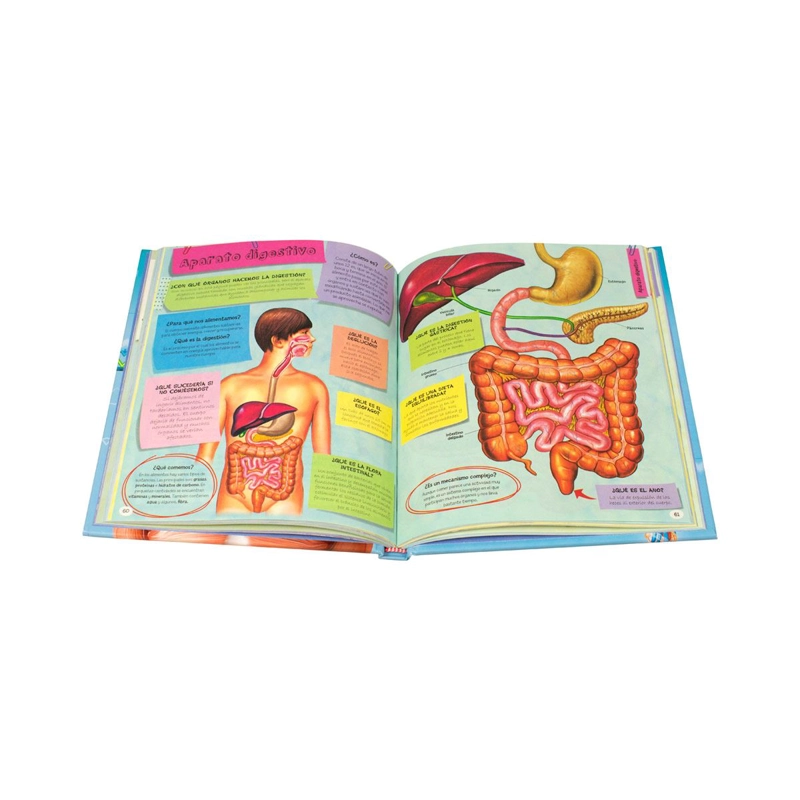 LIBRO 1001 PREGUNTAS Y RESPUESTAS SOBRE EL CUERPO HUMANO - SILVER DOLPHIN - 2