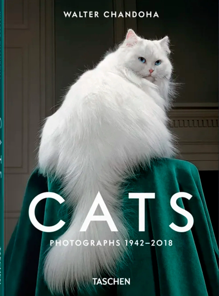 LIBRO WALTER CHANDOHA. CATS. PHOTOGRAPHS 1942–2018 - TASCHEN - SUSAN MICHALS - 1