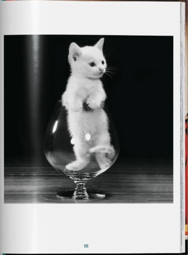 LIBRO WALTER CHANDOHA. CATS. PHOTOGRAPHS 1942–2018 - TASCHEN - SUSAN MICHALS - 6