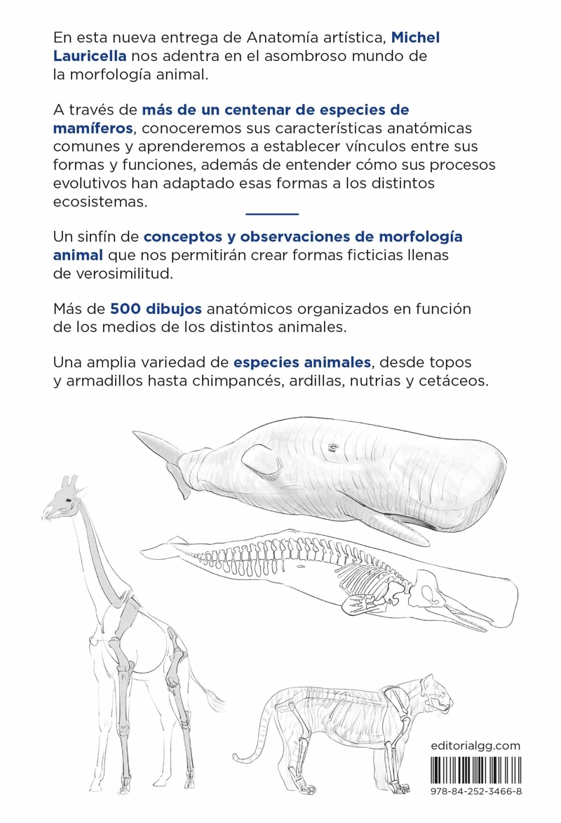 LIBRO ANATOMIA ARTISTICA 9. MAMIFEROS: MORFOLOGIA COMPARADA - MICHEL LAURICELLA - 4