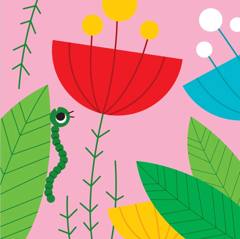 LIBRO TACHAN! LOS INSECTOS - BENEDETTA NIGELLI - 2