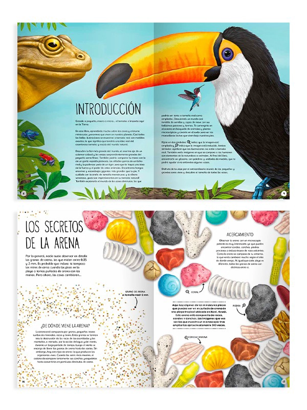 TAMAÑO NATURAL DE EDITORIAL CONTRAPUNTO - 2