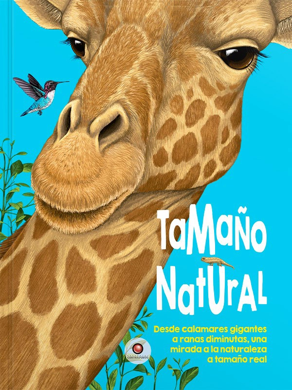 TAMAÑO NATURAL DE EDITORIAL CONTRAPUNTO - 7