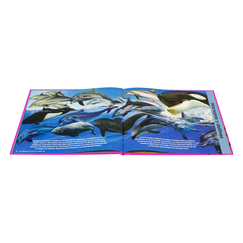 LIBRO GARRY FLEMING - ANIMALES DE LOS OCEANOS - GARRY FLEMING - 2
