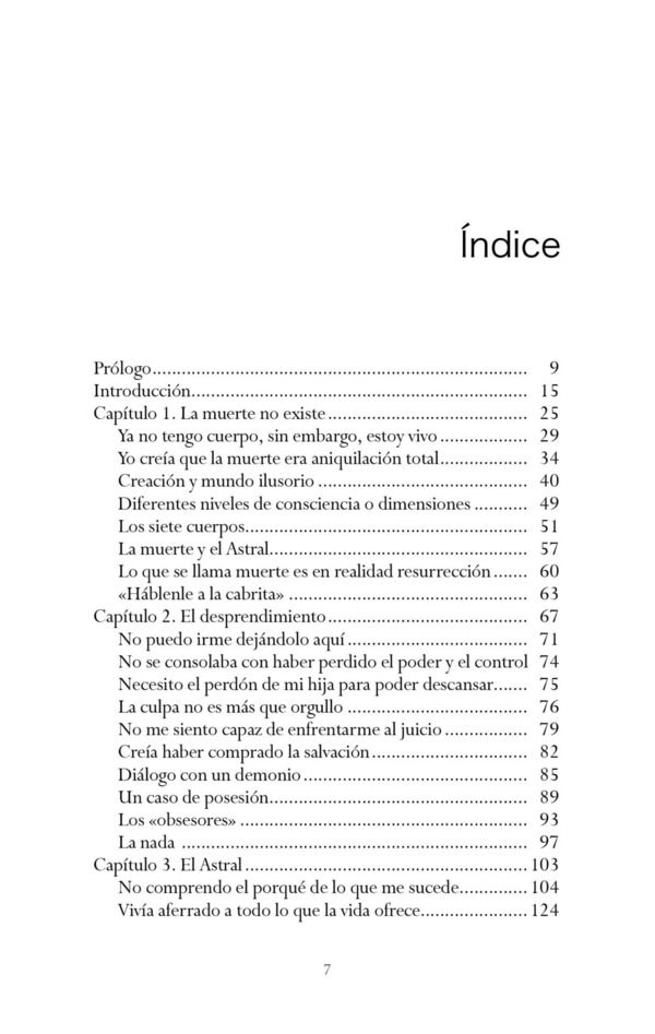 LIBRO UNA PUERTA HACIA LA LUZ - CARMEN DE SAYVE - 2