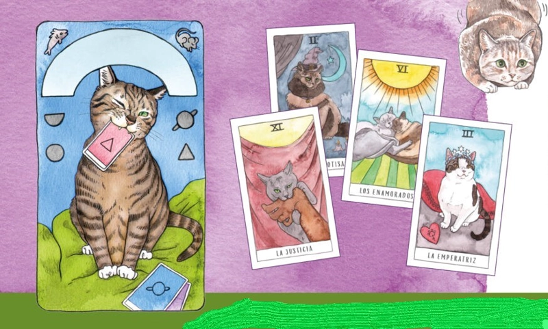 LIBRO EL TAROT DE LOS GATOS (LIBRO + CARTAS) - MEGAN LYNN KOTT - 3