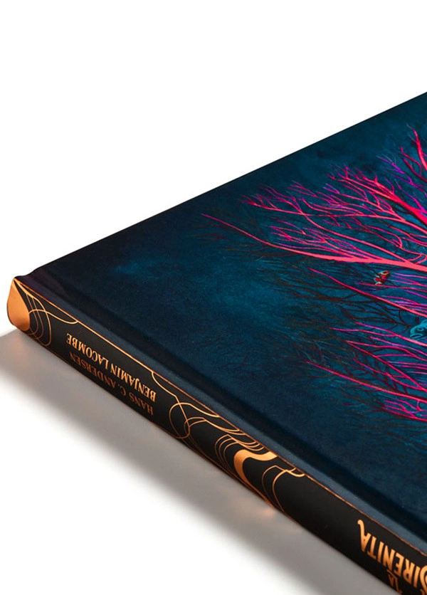 LIBRO CUENTOS CLASICOS ILUSTRADOS - LA SIRENITA - BENJAMIN LACOMBE - 3