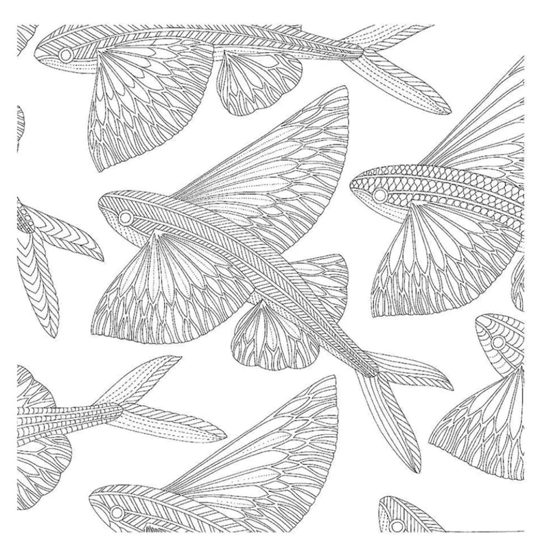 LIBRO MINIATURAS PARA COLOREAR - CRIATURAS CURIOSAS - MILLIE MAROTTA - 3