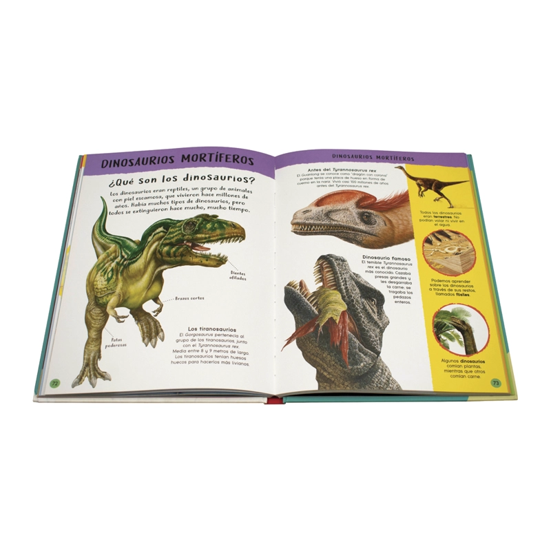 LIBRO ENC. ILUSTRADOS - ENCICLOPEDIA DE DATOS FASCINANTES - VVAA - 3