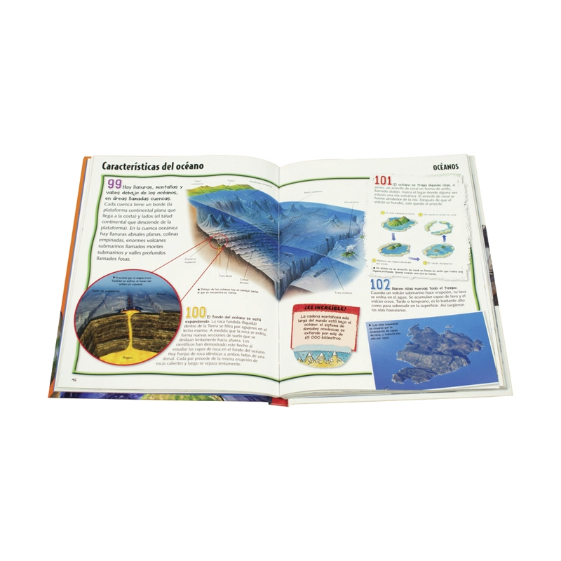 LIBRO ENCICLOPEDIA JUNIOR DE LA TIERRA - VVAA - 2
