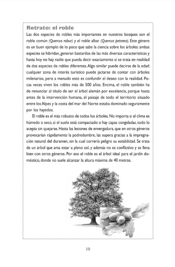 LIBRO COMPRENDER A LOS ÁRBOLES - PETER WOHLLEBEN - 4