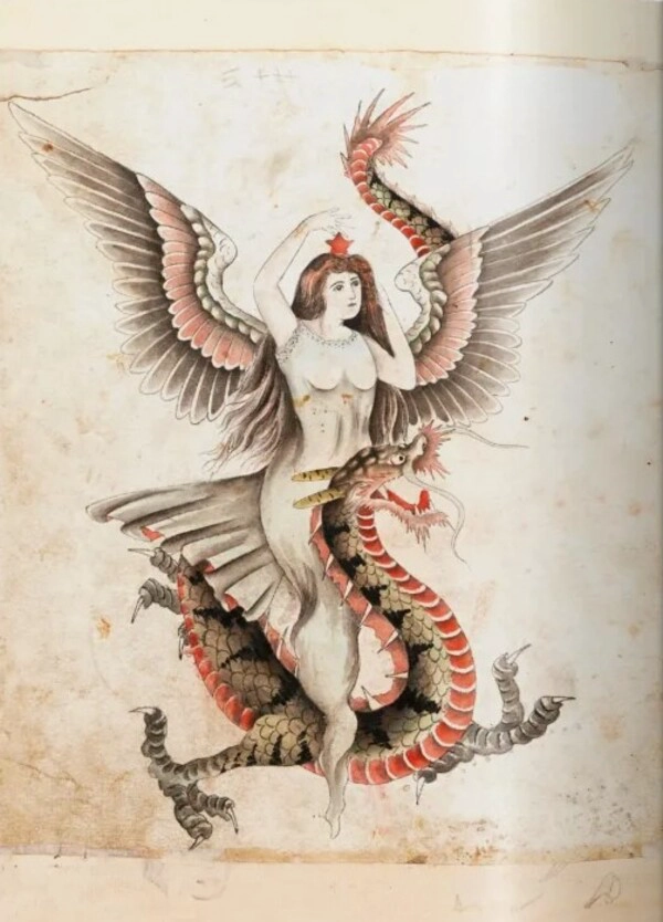 TATTOO. 1730S-1970S. PRIVATE COLLECTION - INT - 6