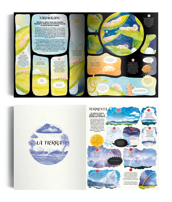 LIBRO LA MAGIA DE LA NATURALEZA - GABBY DAWNAY - 2