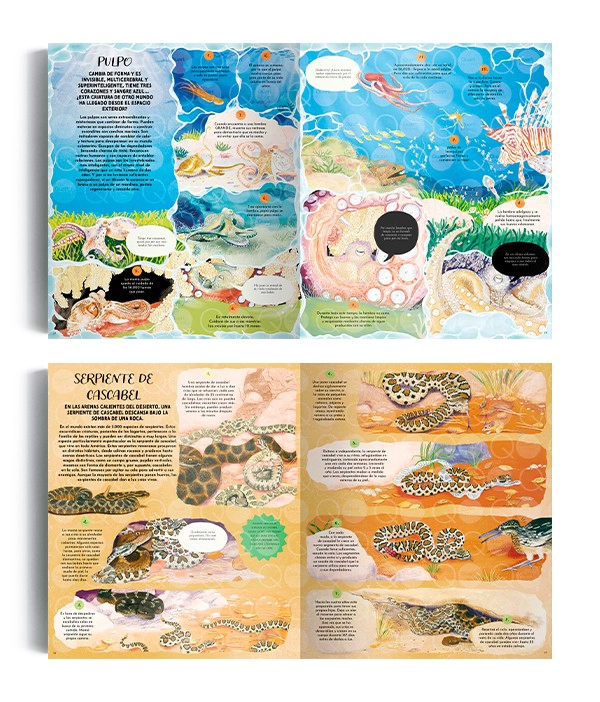 LIBRO LA MAGIA DE LA NATURALEZA - GABBY DAWNAY - 3