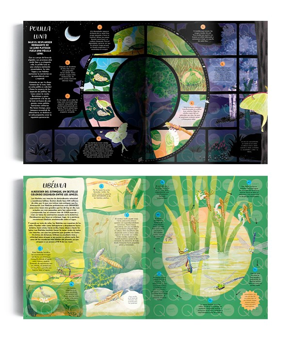 LIBRO LA MAGIA DE LA NATURALEZA - GABBY DAWNAY - 4