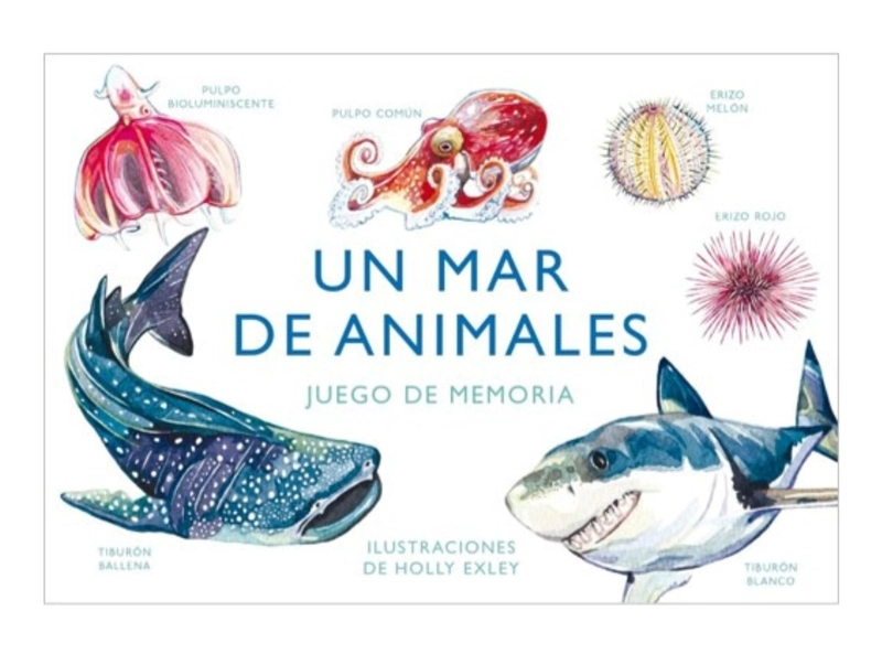 LIBRO UN MAR DE ANIMALES. JUEGO DE MEMORIA - HOLLY EXLEY - 1