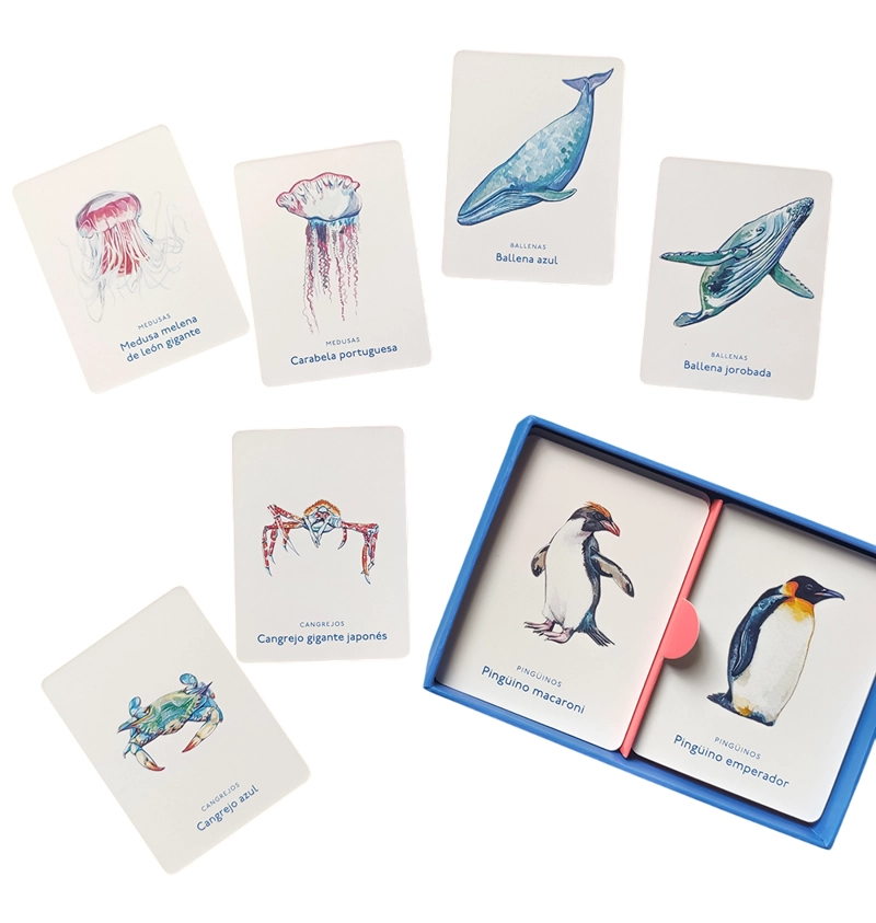 LIBRO UN MAR DE ANIMALES. JUEGO DE MEMORIA - HOLLY EXLEY - 2