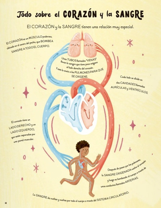 LIBRO HISTORIAS DEL CUERPO HUMANO EN 5 MIN. - GABBY DAWNAY - 5