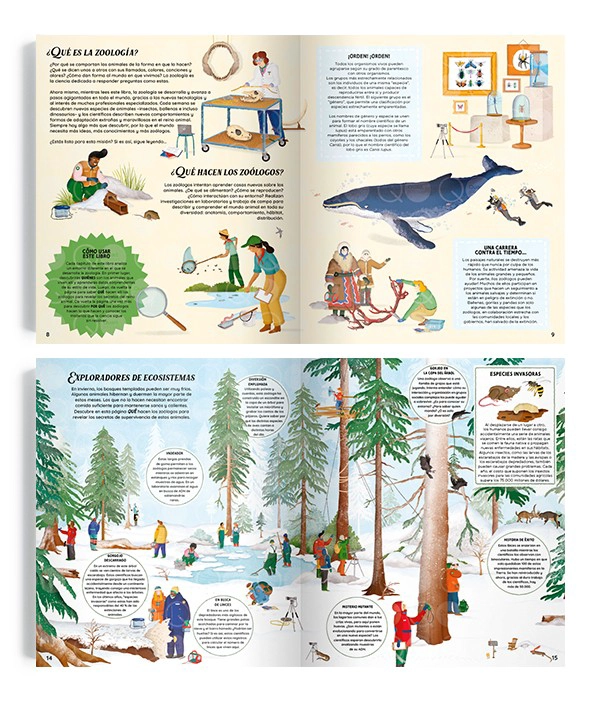 LIBRO ZOOLOGÍA. LA CIENCIA QUE ESTUDIA EL REINO ANIMAL - JULES HOWARD - 2