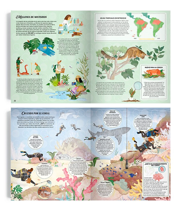 LIBRO ZOOLOGÍA. LA CIENCIA QUE ESTUDIA EL REINO ANIMAL - JULES HOWARD - 4