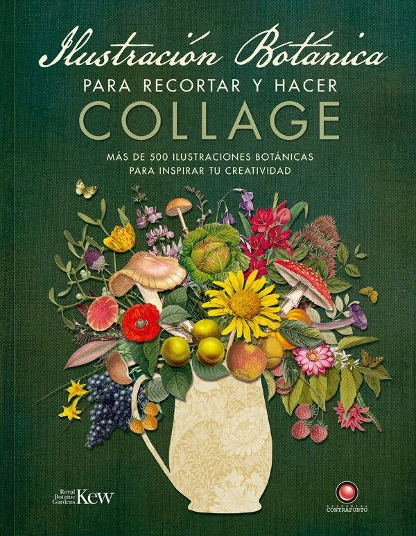LIBRO ILUSTRACIÓN BOTÁNICA PARA RECORTAR Y HACER COLLAGE - DAVID AND CHARLES - 1